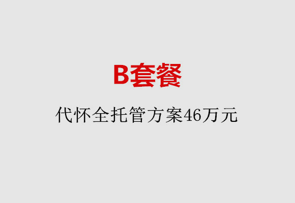 潍坊B套餐：代怀全托管方案46万元